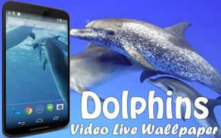 Dolphins Video Live Wallpaper Affiche