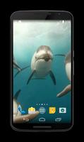 Dolphins Video Live Wallpaper Affiche