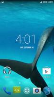 Dolphins HD. Video Wallpaper captura de pantalla 3