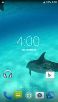 Dolphins HD. Video Wallpaper Affiche