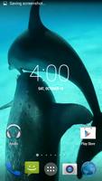 Dolphins HD. Video Wallpaper ảnh chụp màn hình 1