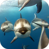 Dolphins Live Wallpaper APK