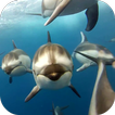 ”Dolphins Live Wallpaper