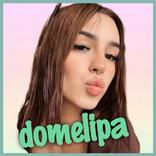 Domelipa wastikers HD