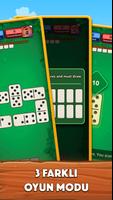 Domino Ekran Görüntüsü 2