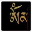 Prayer wheel live WP APK