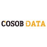 Cosob Data Service