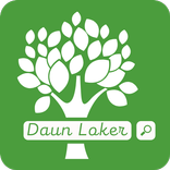 Daun Loker
