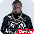davido all songs 2022