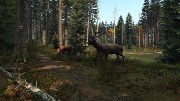 DayZ Mobile Cartaz
