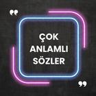 Çok Anlamlı Sözler アイコン