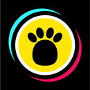 Dabloon Tracker - Counter Pro* APK