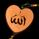 Daily Islamic Quran Messages APK