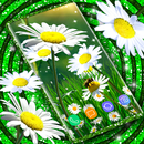 Daisy Parallax Wallpapers APK