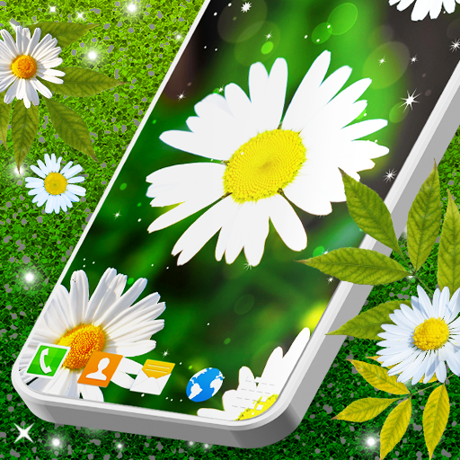 3D Daisy Spring Live Wallpaper