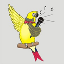 Dala FM Kano 88.5 APK