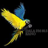 Dala FM Kano Radio ikon