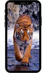 Tiger Tapete. APK Herunterladen