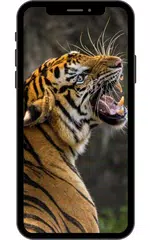 Tiger Tapete. APK Herunterladen
