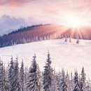 Winter Wallpaper APK