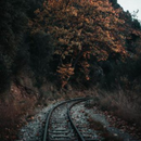 Autumn Wallpaper APK