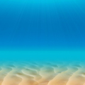 ”Beach Wallpaper