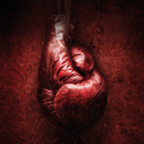 Fonds d'écran de boxe APK