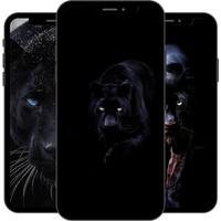 黒いパンサーの壁紙 スクリーンショット 1