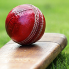 Fondos de pantalla de cricket icono