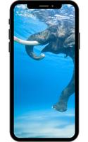 Elephant Wallpaper poster