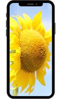 Flower Wallpaper plakat