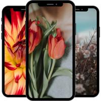 Flower Wallpaper screenshot 1