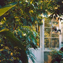 Garden Wallpaper APK