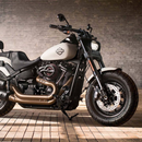 Мотоциклы Harley Davidson APK