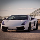 Lamborghini Gallardo APK