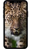 Fondo de pantalla leopardo captura de pantalla 3