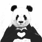 Panda Wallpaper icon
