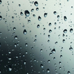 Rain Wallpaper