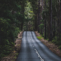 Road Wallpaper
