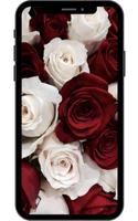 Rose Wallpaper screenshot 3