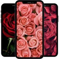 Rose Wallpaper screenshot 2