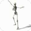Dancing Skeleton Video Themes