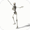 ”Dancing Skeleton Video Themes