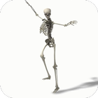 Esqueleto da dança Vídeo LWP ícone