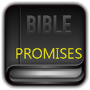 Bible Promises APK