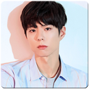 Park Bo Gum Wallpaper APK