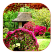 Garden Live Wallpaper
