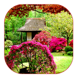 Garden Live Wallpaper icon