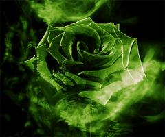 Green Rose اسکرین شاٹ 3