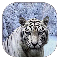 White Tiger Live Wallpaper